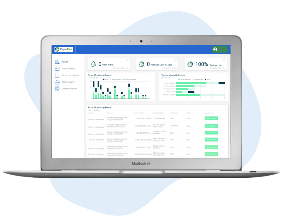Reporting portal preview